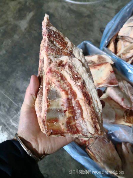 130大羊胸排-(5)