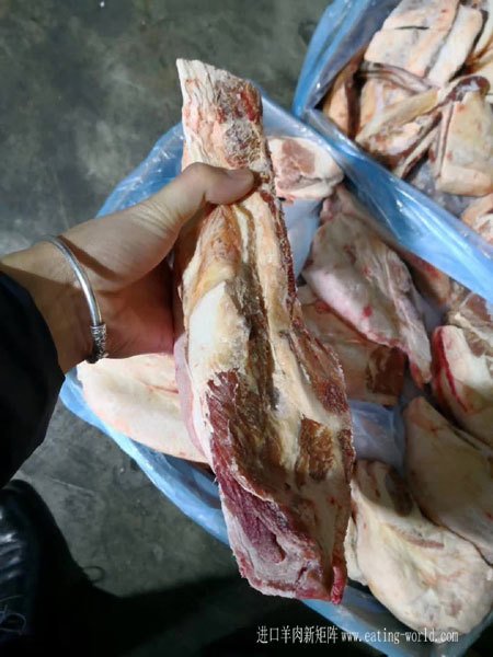 130大羊胸排-(3)