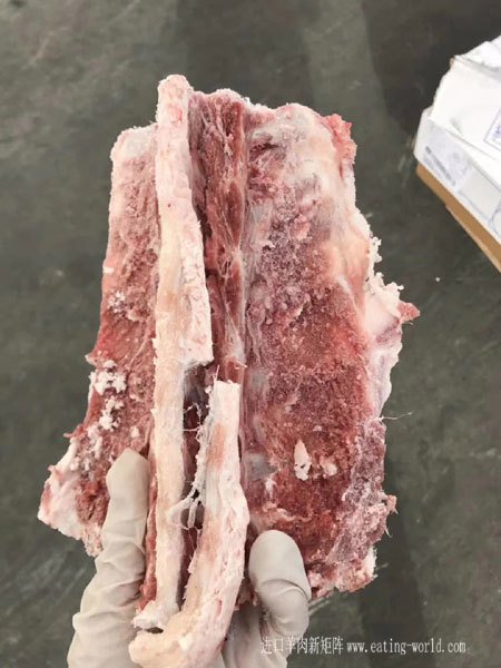 282羔羊腰骨-(5)
