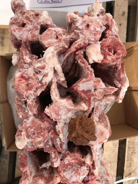 澳大利亚282羔羊腰骨图片展示