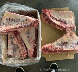 澳大利亚262牛胸骨