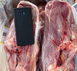 新西兰ppcs乳牛腿
