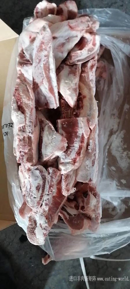 39羔羊胸骨-(5)