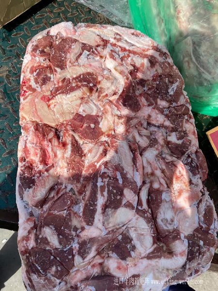 OVATION70比例羔羊碎肉