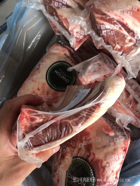 130羔羊七肋法排-(4)