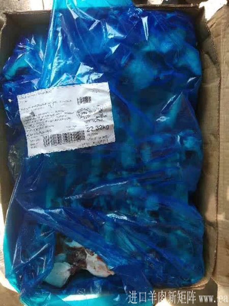 澳大利亚206羊后腿骨图片展示