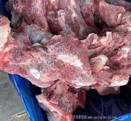 澳大利亚294厂牛脖骨