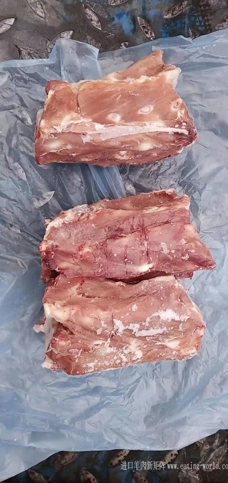 新西兰34小牛脖骨-(2)