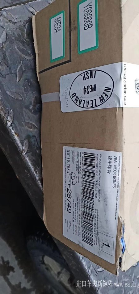 新西兰34小牛脖骨-(1)