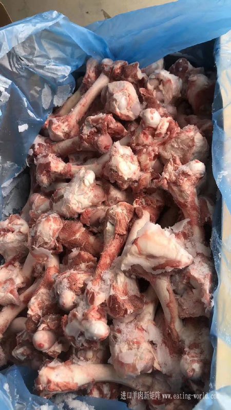 新西兰26羔羊后棒--(6)