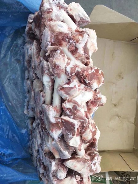 新西兰绵羊后棒骨