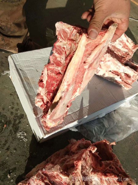 澳洲8厂大羊脊骨