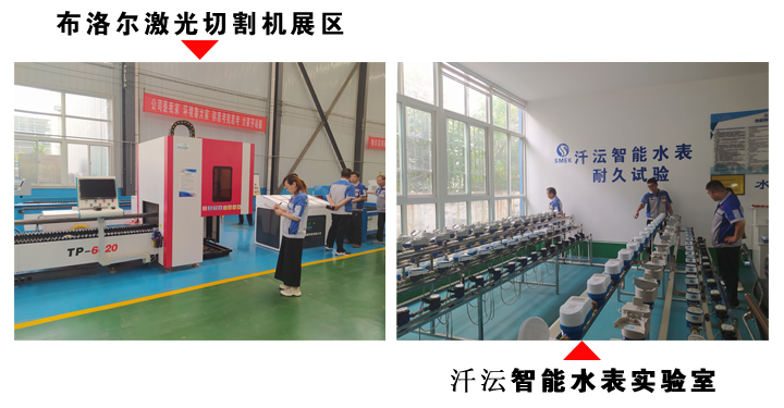 对布洛尔以及汘沄进行检查