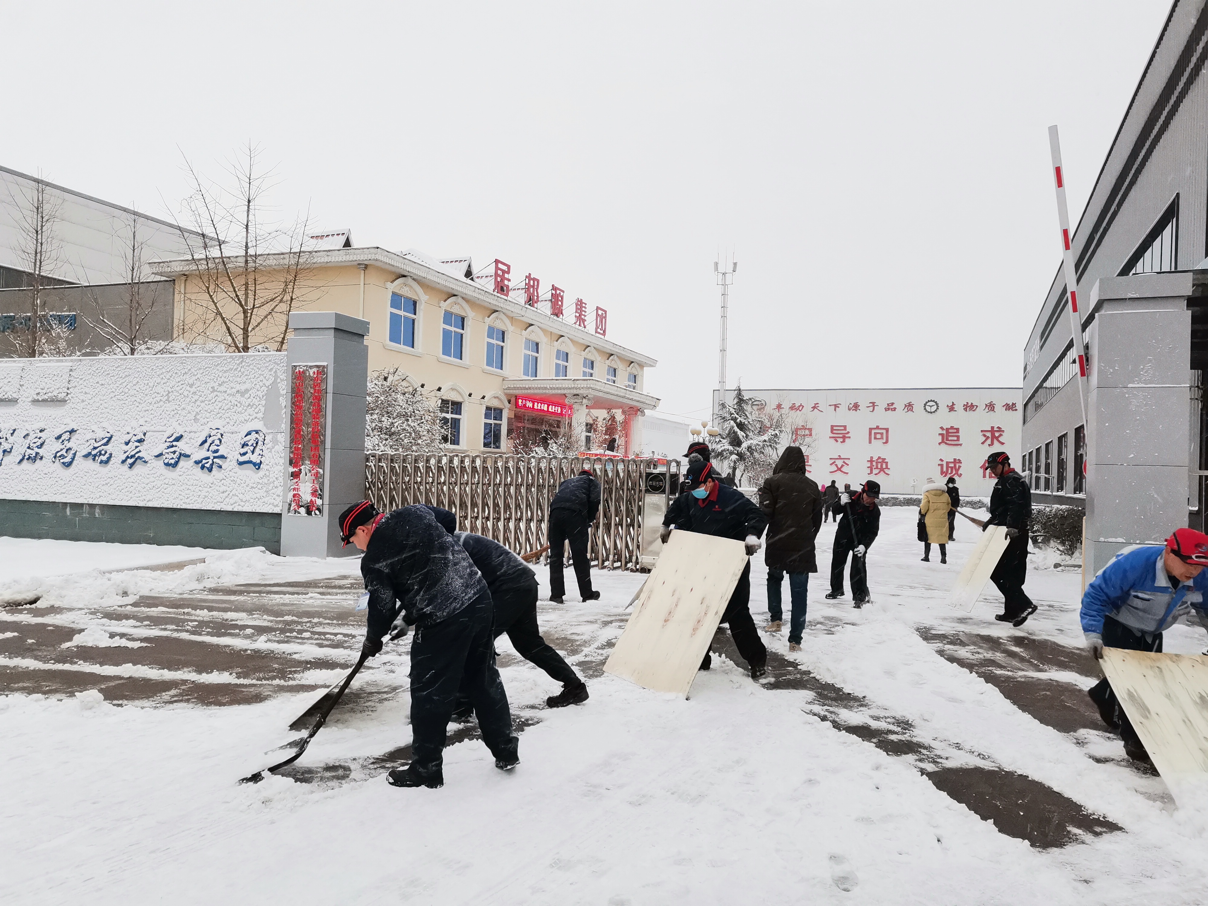 2020年12月29日 雪