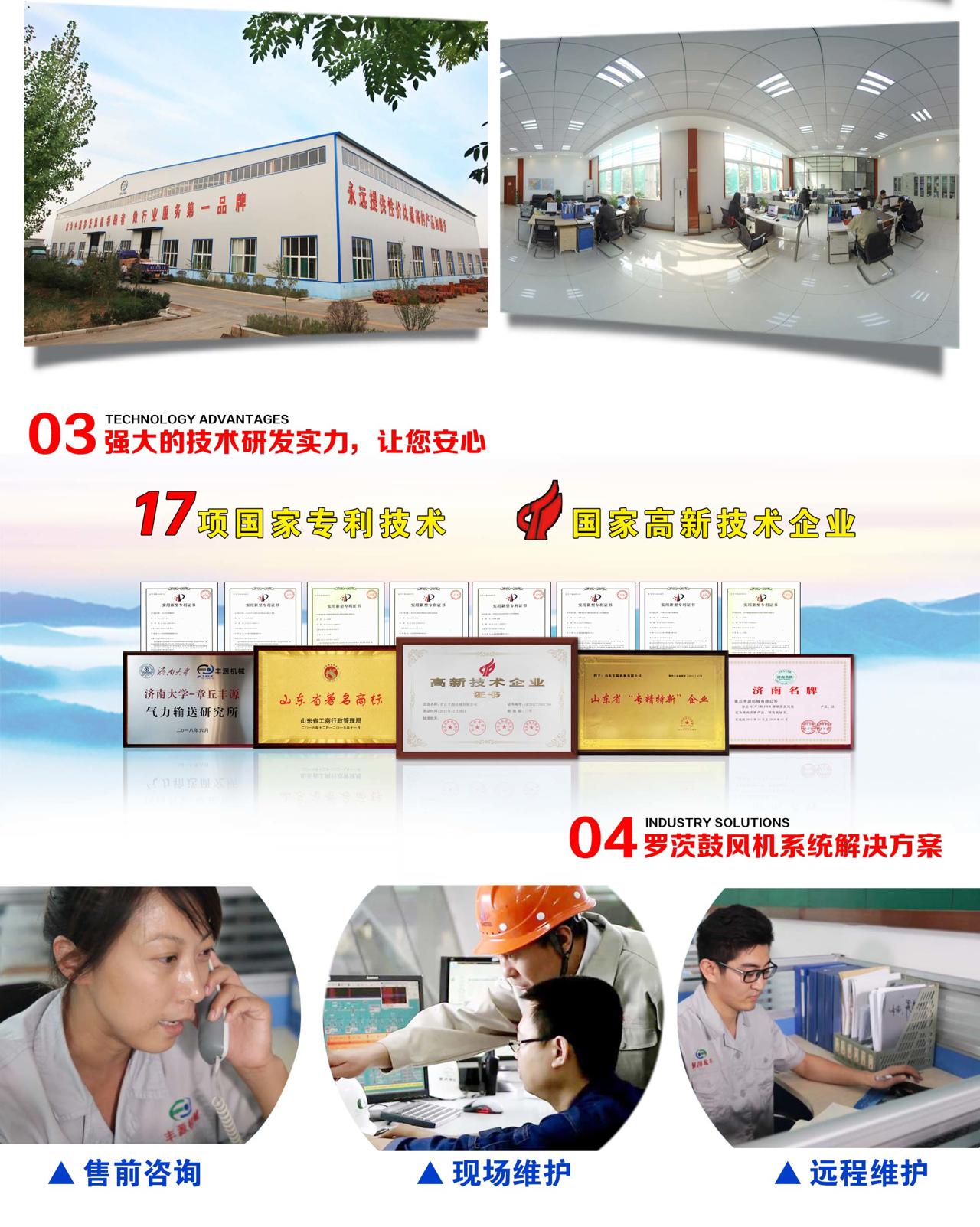 17项国家专利技术