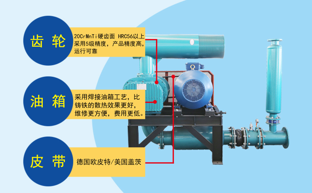 密集罗茨鼓风机结构示意图
