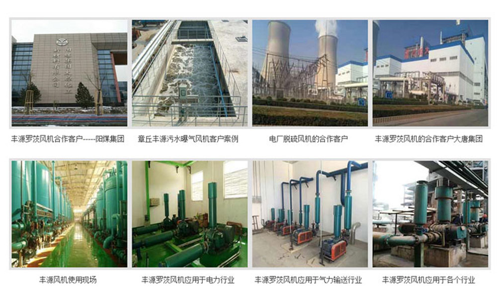 丰源罗茨风机客户案例展示