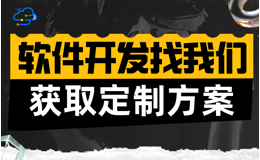 软件开发外包公司，专业定制，保障项目成功