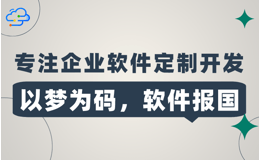 ERP管理系统，精细化管理，数据驱动决策