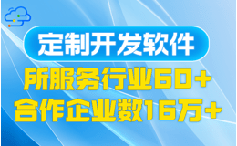 软件开发定制，灵活应对，优化管理流程