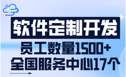 系统定制开发，实现个性化企业管理需求的定制化方案