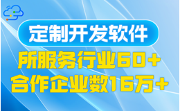 软件系统定制开发，实现企业管理精准化与高效化的技术保障