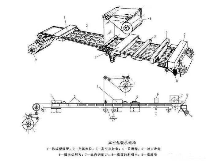 拉伸膜真空包装机结构图4