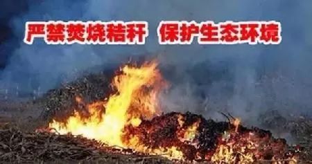河北省已安装2206个电棒电棍秸秆露天焚烧 河北省已安装2206个电棒电棍秸秆露天焚烧