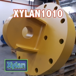 Xylan1010简介