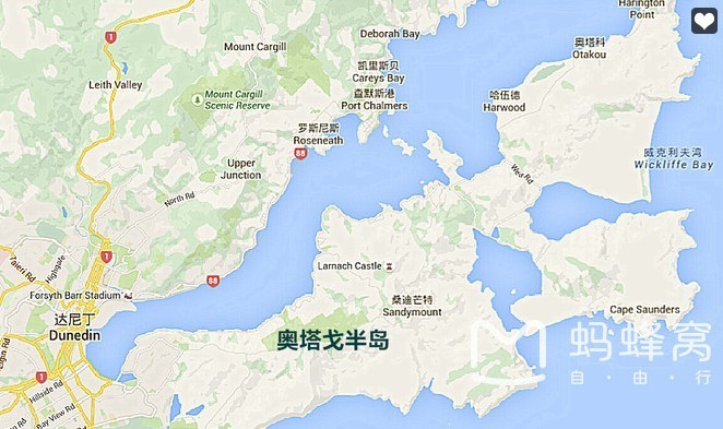 但尼丁地图