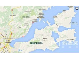 冯敏怡老师的新西兰自驾游