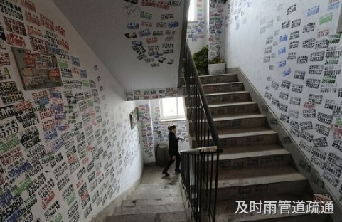 小区楼道找小广告