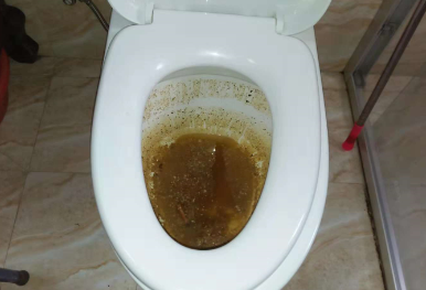 马桶堵塞了怎么办？快速解决指南