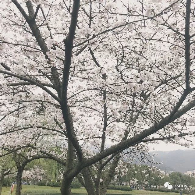 播音主持概论 播音主持概论