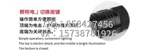 1101型带强光电筒式电击棒 1101型带强光电筒式电击棒