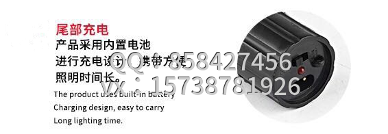 1101型带强光电筒式电击棒 1101型带强光电筒式电击棒