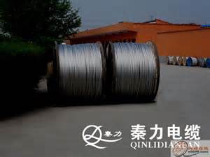 “世界铝都”在中国“中国铝都”在滨州 !轻型钢芯铝绞线 解密滨州之铝