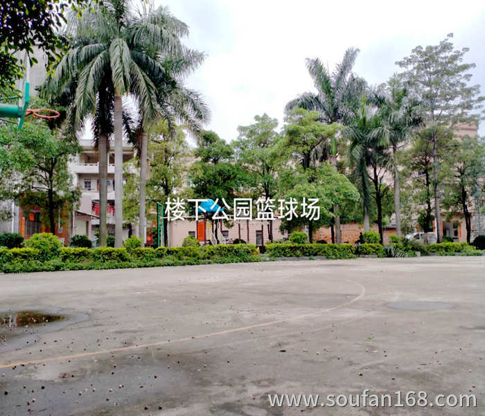 企石小产权新楼盘 :东部华侨三房24.8万起