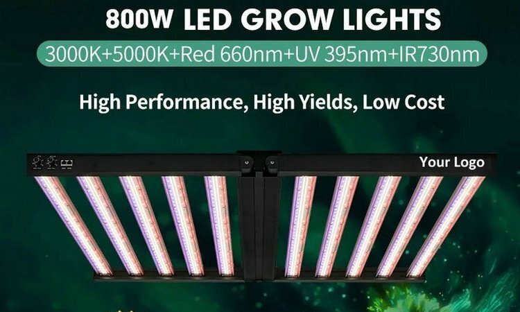 Dimming Grow Light