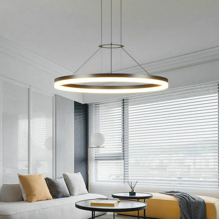 Illuminate Your Space: Unveiling Residential Ringed Ceiling Light Trends