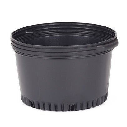 Plastic 5 gallon pots