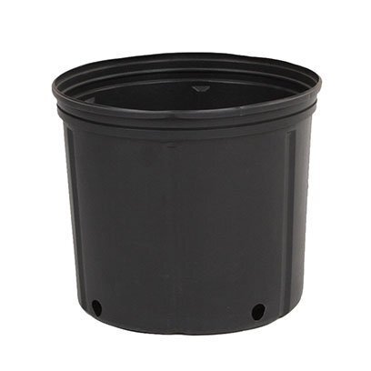 Plastic 2 gallon pots