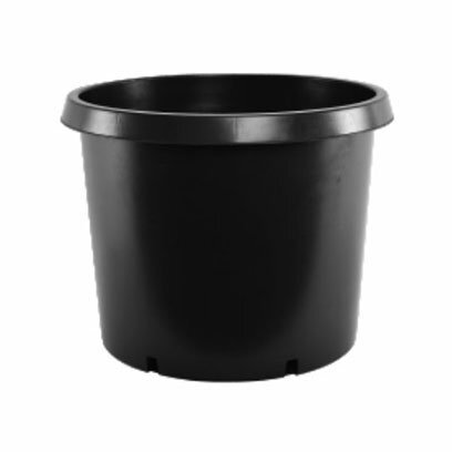 ZP 20 gallon pots