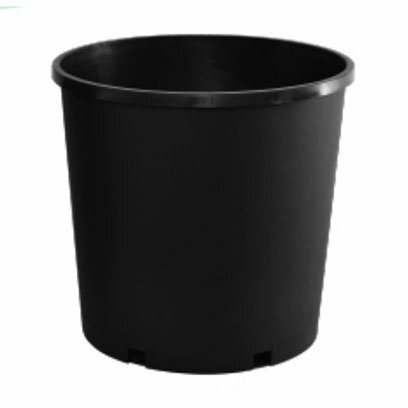 ZP 10T gallon pots