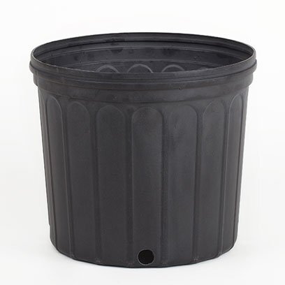 Plastic 3 gallon pots