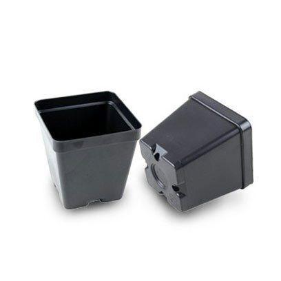 Plastic 3.5 inch square pots