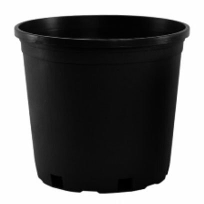 ZP 3 gallon pots