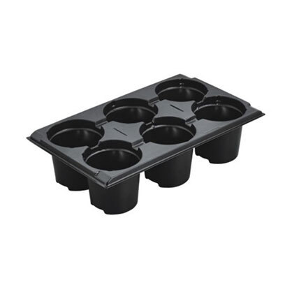 XD 6 cell seedling trays