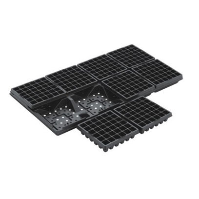 XD 36 cell seedling trays