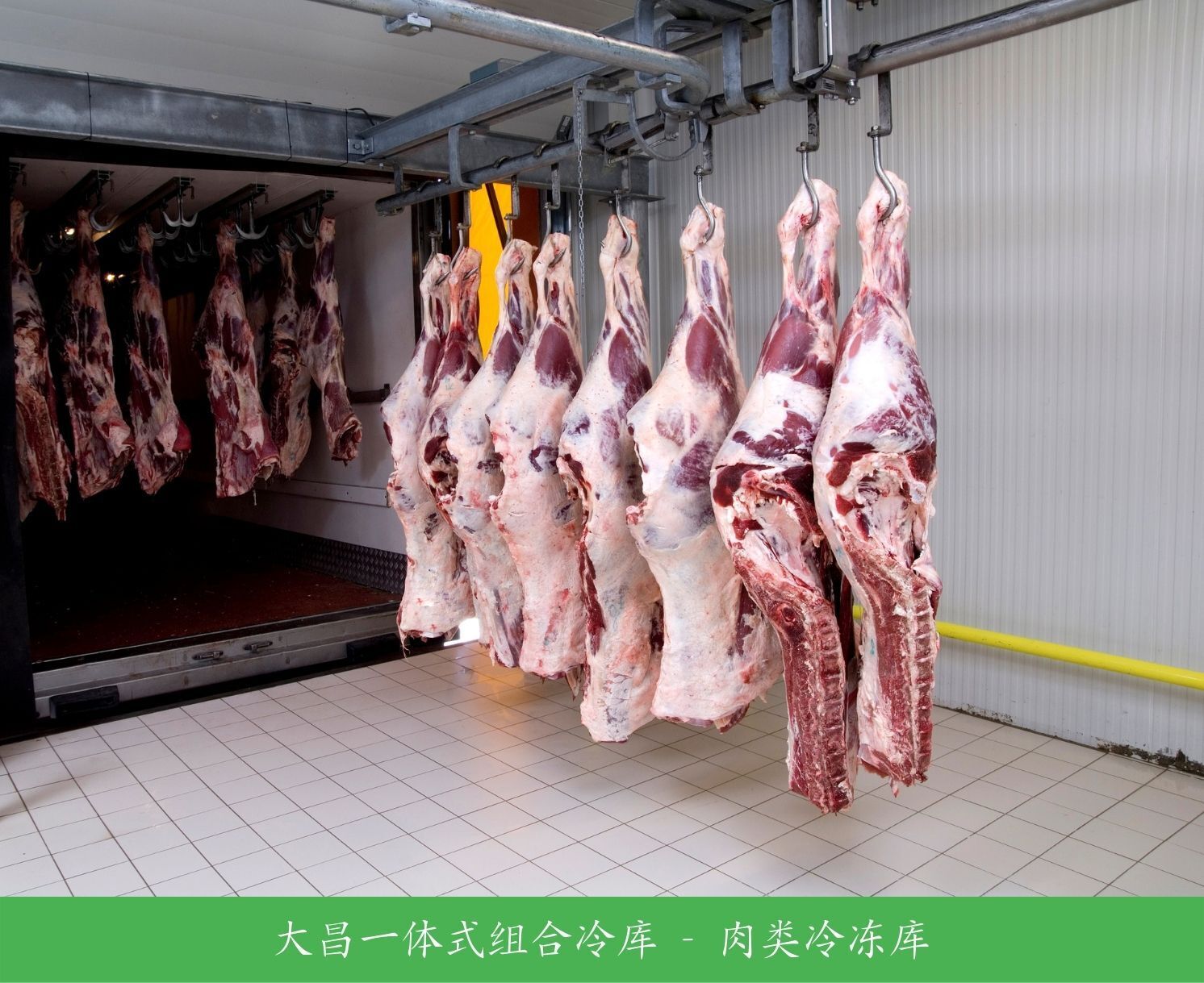 Dachang-meat-freezer-003
